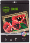  Cactus CS-A426010