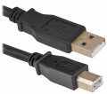  USB A/B