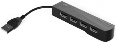 USB- Ritmix CR-2406 Black