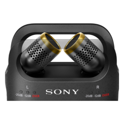   Sony PCM-D10