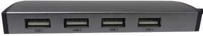 USB- Digma HUB-4U2.0-UC-DS