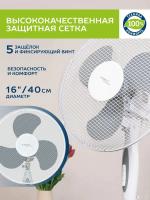 ���������� ��������� Scarlett SC-SF111B01 45�� ���������:3 �����/�����