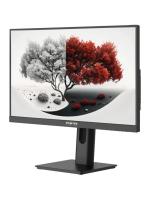 ������� RDW Computers RDW2401K 1920x1080(FHD)IPS120Hz 5�� 178�/178 300cd 1000:1 VGA HDMI DP ���. �� ������, ���������� �����, ������� ������ ����� ���(����/�����), ������, ���������� ��, ��������, ������, VESA 100*100, ���