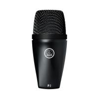  P2 3100H00150 AKG