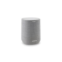   Harman Kardon Citation One MKII 