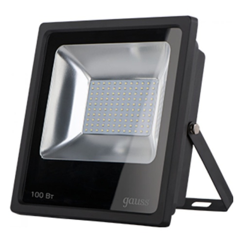  Gauss LED 100W IP65 6500  613100100