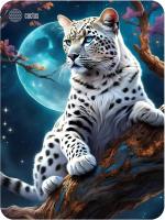 ������ ��� ���� Cactus Snow Leopard 400x300x3�� (CS-MP-PRO16XL)