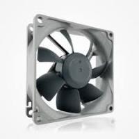 ���������� Noctua NF-R8 redu� 1800 PWM, 80�80�25 ��, 325-1800 ��/���, 17 ���, PWM