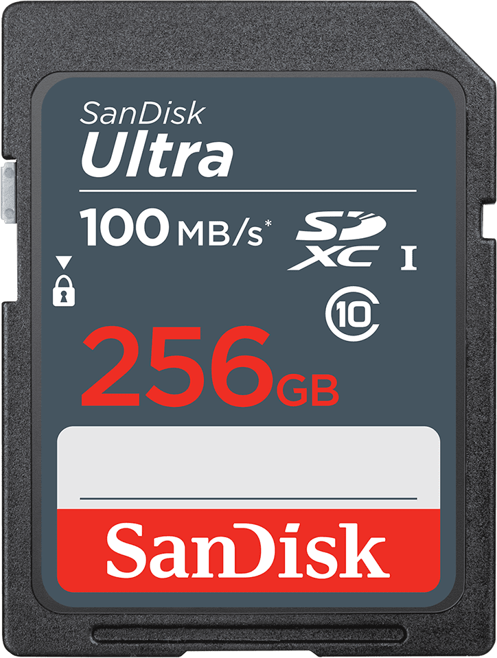   SDXC 256GB UHS-I SDSDUNR-256G-GN3IN SANDISK