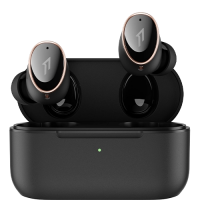  1MORE EVO TRUE Wireless Earbuds black