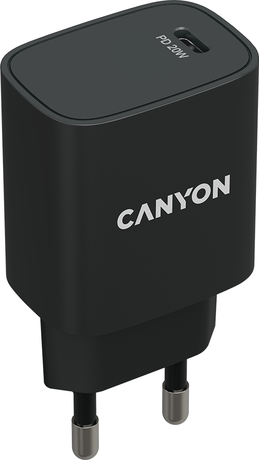 Сетевое зарядное устройство Canyon CNE-CHA20B02