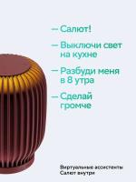 ������������ ������� ����� SberBoom ������ SBDV-00090, ���� ������������, �������� ����� SBER