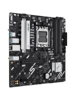 ����������� ����� ASUS PRIME A620AM-A-CSM, AM5, A620A, 4*DDR5, 4*SATA, 2*M.2, 2*USB 3.2, 4*USB 2.0, 1*PCIx16, 1*PCIx1, DP+VGA+HDMI, mATX;