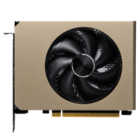 ���������� MSI NVIDIA GeForce RTX 5060 INSPIRE ITX OC 8GB GDDR7, Ret