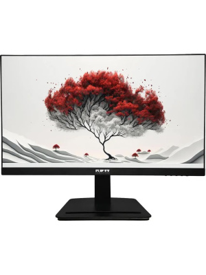 ������� RDW Computers 23.8" RDW2401K ������ IPS 4ms HDMI M/M HAS Piv 350cd 178��/178�� 1920x1080 VGA DP FHD USB (RUS)