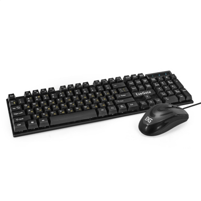�������� ExeGate Professional Standard Combo MK110, ������, Color EX295302RUS