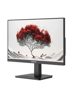 ������� RDW Computers RDW2401K ����.467846.008-01 2560x1440(QHD) IPS 100Hz 1�� 178�/178 350cd HDMI DP Type-C ������, ������� �� ��������� 120W, ��������, ������, VESA 100*100, ������ ���