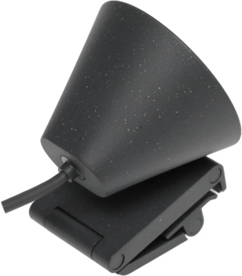 ������ Web Logitech HD Webcam Brio 300 ������ 2Mpix (1920x1080) USB Type-C � ���������� (960-001438)