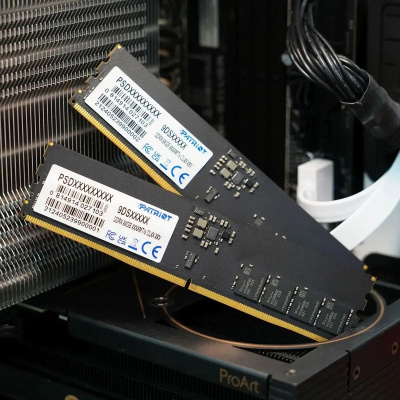 ������ DDR5 32GB 6400MHz Patriot PSD532G6402C Signature RTL