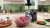 ��������� Bosch MFWS640B ������