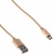  Buro USB - MicroUSB, 1 (BHP RET MICUSB-BR) Gold