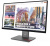 ������� Lenovo 27" ThinkVision P27QD-40 ������ IPS LED 4ms 16:9 HDMI ������� HAS Piv 1500:1 350cd 178��/178�� 2560x1440 120Hz DP QHD USB 6.8��