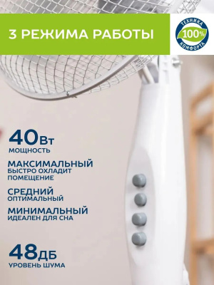 ���������� ��������� Scarlett SC-SF111B20 35�� ���������:3 �����/�����