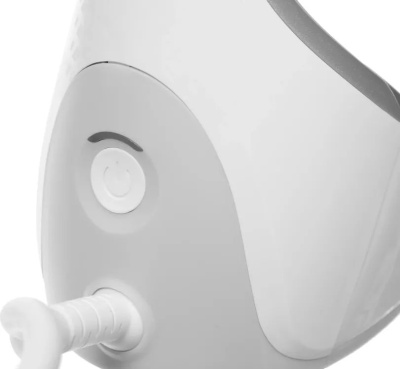 ������������ ������ Tefal Access Steam Pocket DT9130E0 1600�� �����/�����������