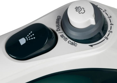 ���� Braun SI7042GR 2400�� �����/���������