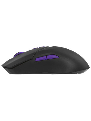 ������� ���� ���������/������������ RAPOO VT9PRO4K-BL, ���� - ������/���������� (12584)