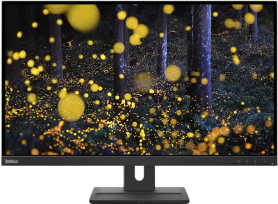 ������� Lenovo 27" ThinkVision E27q-20 2560x1440 IPS LED ������ 62D0GAT1UK