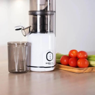 ������������� �������� Scarlett SC-JE50S63 400�� ���.���.:600��. �����