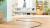 ������� Bosch BGL38GOLD 1700�� ������/����������