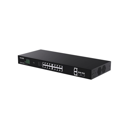 ���������� 20PORT G1120P-16-250W IP-COM