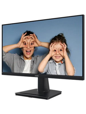 ������� MSI PRO MP225 E12L 21,45" ������