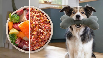 ��������� Bosch MFWS609W �����