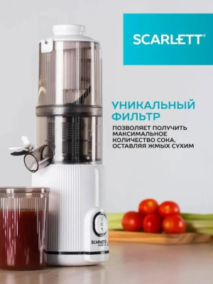 ������������� �������� Scarlett SC-JE50S63 400�� ���.���.:600��. �����