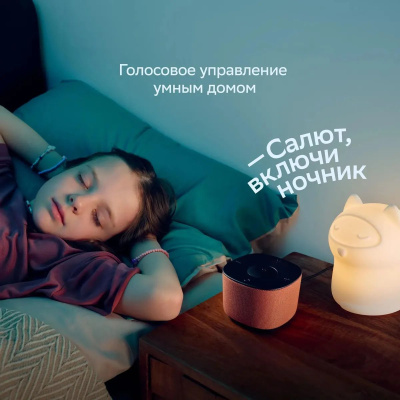 ����� ������� SBER Boom Home SBDV-00171G, 8��, � �����, ����� (���.���)