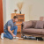 ������ ������������ ������������ ������� Jimmy HW11 Pro