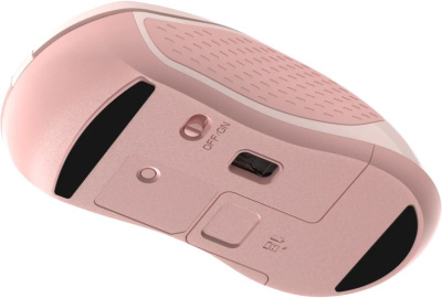 RAPOO ���� ������������ B20 Silent, ���� - �������