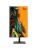 �������� iRU Tactio 24ID5, 24.5" (1920x1080) IPS/Intel Core i5-12400/16 DDR5/512 �� SSD/Intel UHD Graphics/��� ��, ������ (2195973)