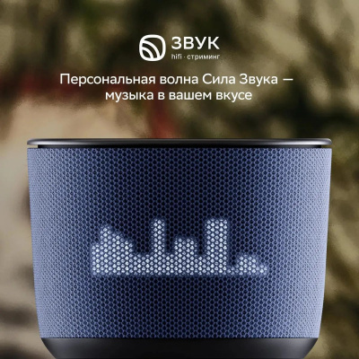 ����� ������� SBER Boom Home SBDV-00171G, 8��, � �����, ����� (���.���)