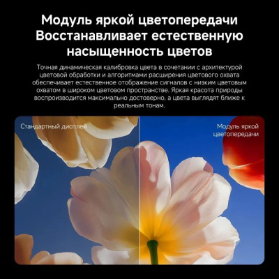 ��������� Xiaomi 55" TV S Mini LED 55 2026 QLED, 4K Ultra HD, ����� ��, Android TV, �����-����� (L55MC-SRU)
