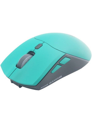 ���� Raskat MG009WR �������