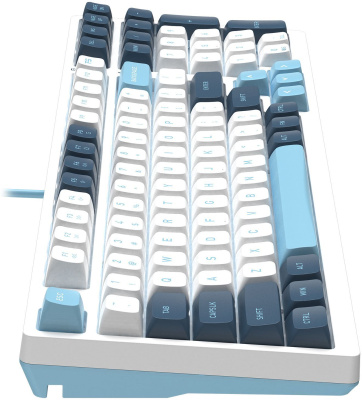 ���������� A4Tech Fstyler FS300 ������������ �����/����� USB for gamer LED (FS300 PANDA SNOWBOARDING)