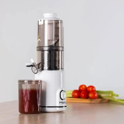 ������������� �������� Scarlett SC-JE50S63 400�� ���.���.:600��. �����