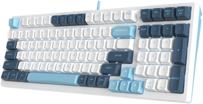 ���������� A4Tech Fstyler FS300 ������������ �����/����� USB for gamer LED (FS300 PANDA SNOWBOARDING)