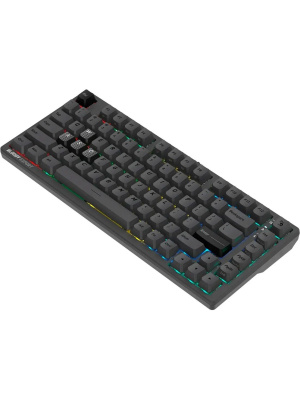 ���������� A4Tech Bloody MS76 �����-����� USB Multimedia for gamer LED (MS76)