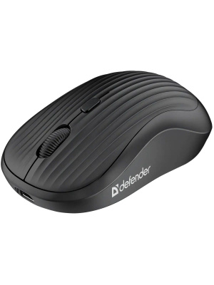 ���� ���������� ������������ DEFENDER Slot MS-202 black (2.4���,1600dpi,4��,500���) (52202)