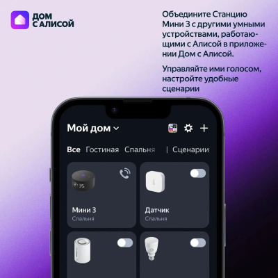 ����� ������� Yandex ������� ���� 3 ����� ����� 12W 1.0 BT/Wi-Fi (YNDX-00027GRY)